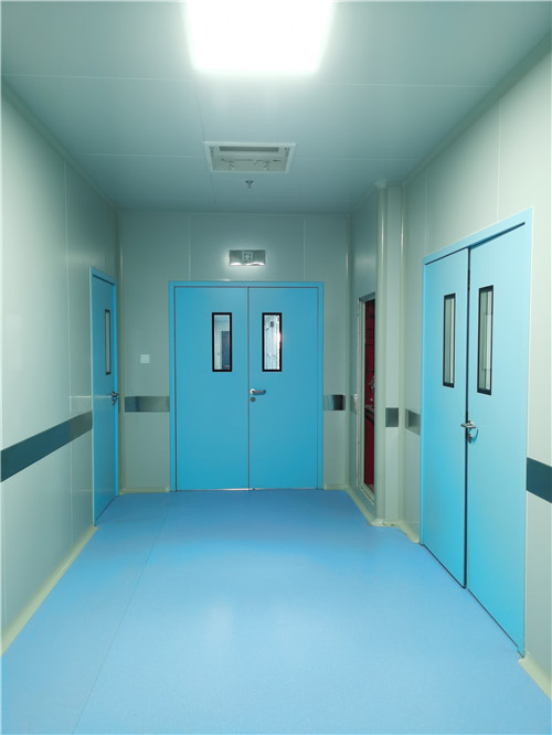 凈化鋼制門 凈化鋼制門